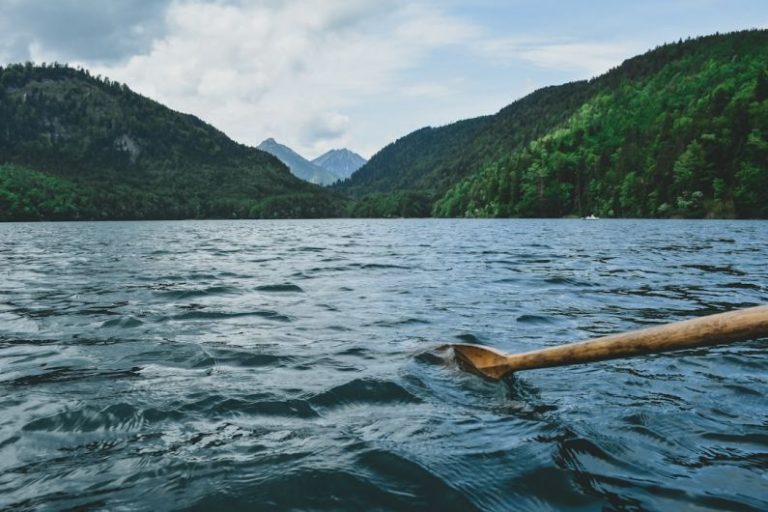 Rowing - brown paddle