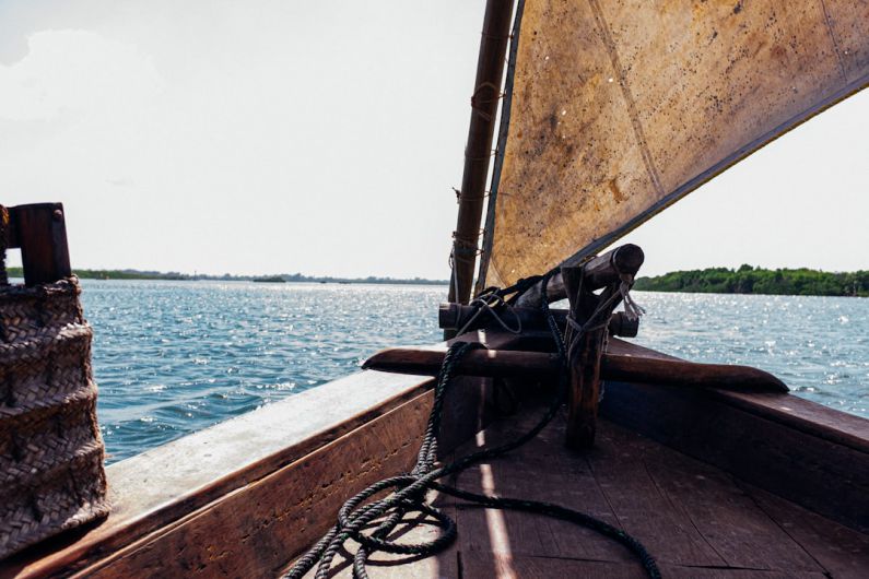 Watercraft - brown sailing boat